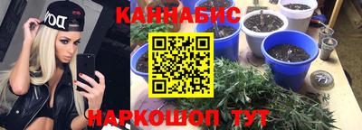мяу мяу мука Бийск