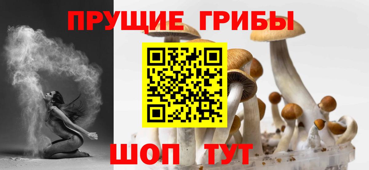 Псилоцибиновые грибы Psilocybine cubensis  Вход с VPN  Псилоцибиновые грибы Psilocybe  Кизилюрт 