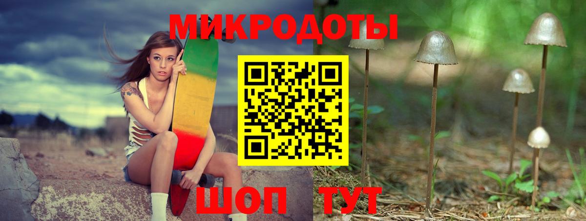 Псилоцибиновые грибы мицелий Кизилюрт
